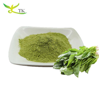 100% Pure Natural Organic Spinach Leaves Powder Spinach Leaf Powder