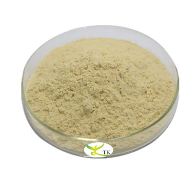 Natural Sophora Japonica Extract Pure Genistein Powder Bulk Genistein Extract 98% Food Grade