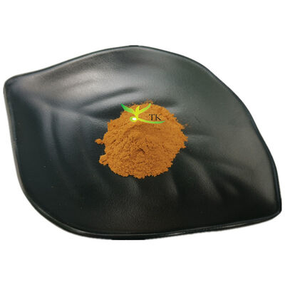 Natural Plant Extract ‌Leonotis Leonurus‌ Lion's Ear Wild Dagga Extract Powder 4:1 10:1