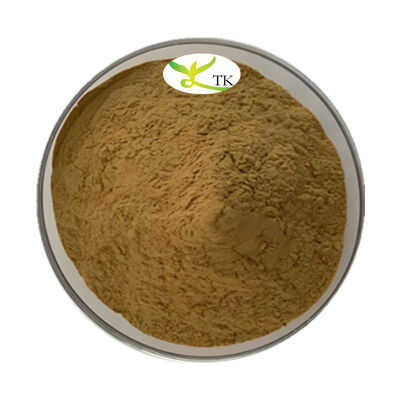 Wholesale Price Natural Plant Extract Voacanga Africana Root Bark Extract 4:1