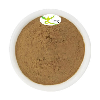 Wholesale Price Food Grade White Tea Extract Powder White Tea Leaf Extract