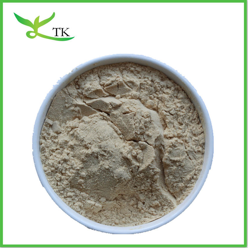 Light Brown Oyster Mushroom Extract Powder 35% Food Grade