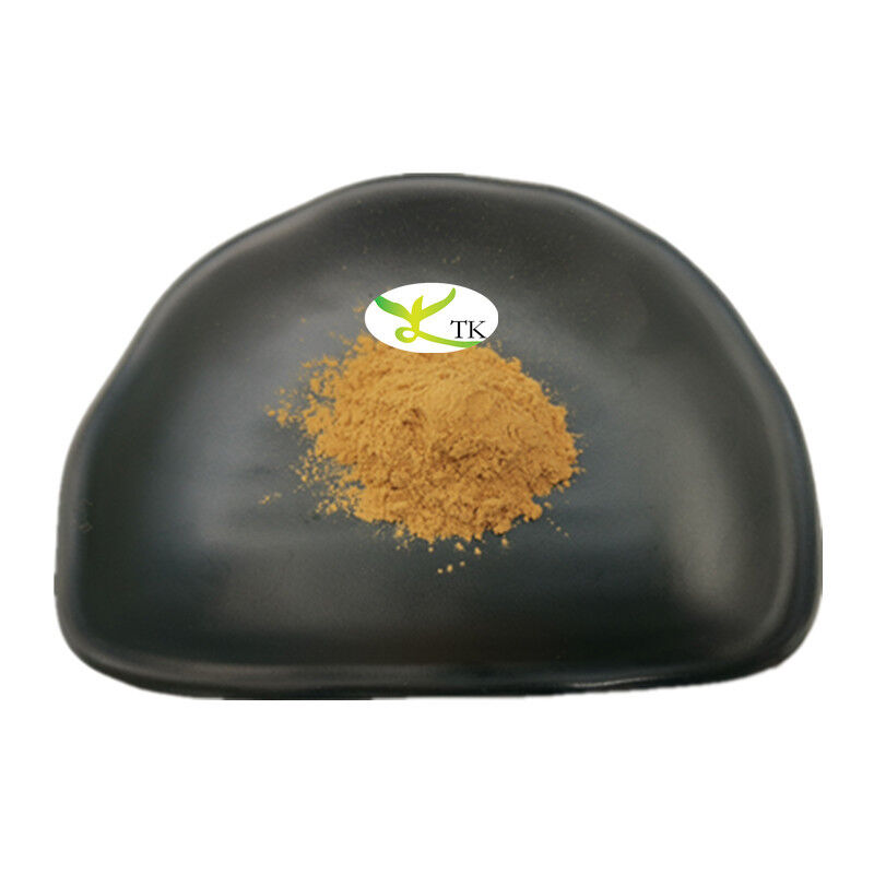 Wholesale Price Natural Paullinia Cupana Seed Extract Powder Water Soluble