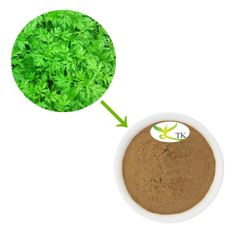 Wholesale Natural Plant Extract Argy Wormwood Leaf Powder Extract 4:1 10:1