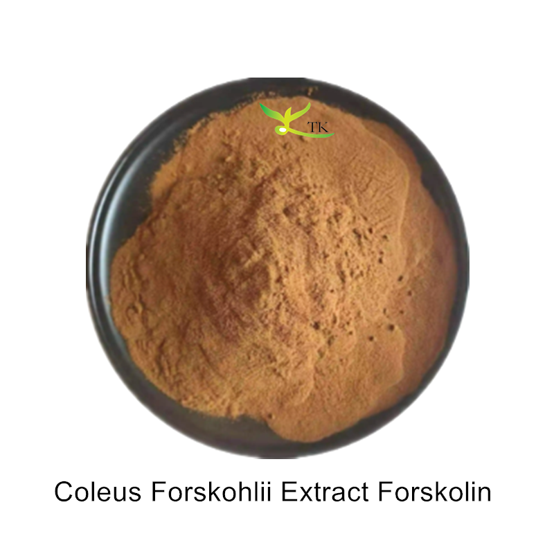 High Quality Natural Coleus Forskohlii Extract Powder Forskolin for Healthcare Supplement