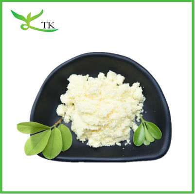 Estratto vegetale in polvere Gingerol Radice di zenzero in polvere Zenzero in polvere per la cura della salute