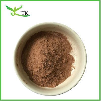 Extracto di funghi di Ganoderma lucidum reishi in polvere
