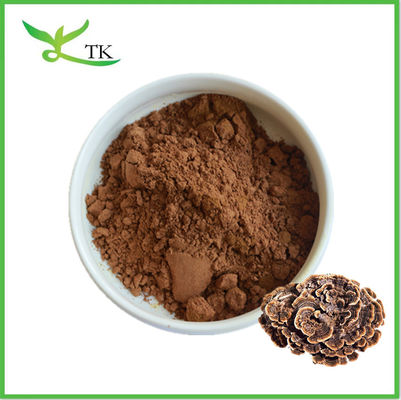 Puro Coriolus Versicolor naturale in polvere di tacchino Coda di funghi in polvere Capsule integratore