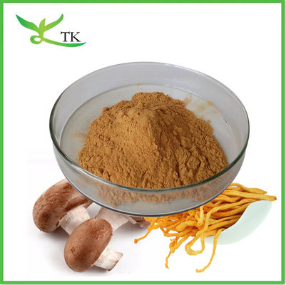 Mix Super Food Powder Private Label Mix di funghi Estratto di integratore
