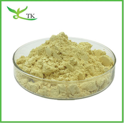 Estratto di piante di radici di kava polvere Kavalactone 10% 30% Estratto di Kava Piper Methysticum