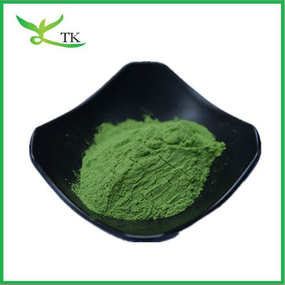 Grado alimentare Puro vegetale verde naturale in polvere Estratto di spinaci in polvere idrosolubile