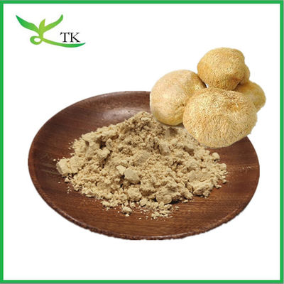Supplemento sanitario Puro naturale Hericium Erinaceus in polvere