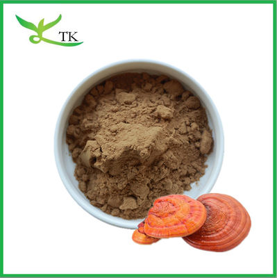 Miglior prezzo Estratto naturale di Reishi Funghi polvere Polisaccaridi 30%