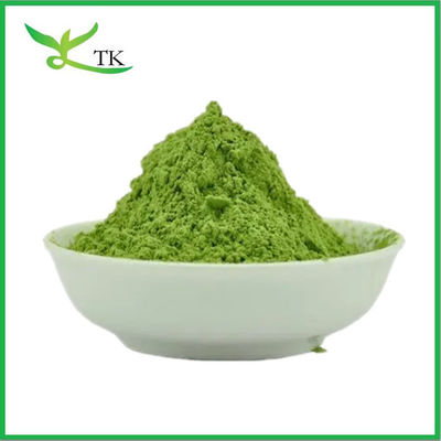 Verdi in polvere Superfood Medicago Sativa Alfalfa in polvere Alfalfa Estratto Alfalfa Erba in polvere