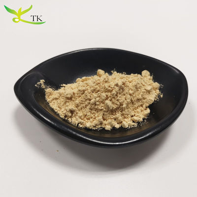 Superfood Cura della salute Hericium Erinaceus Estratto di mangia di leone Funghi in polvere