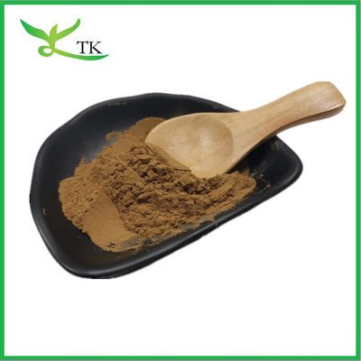 Estratto vegetale naturale Coleus Forskohlii Extratto di radice in polvere 20% 98% Forskolina