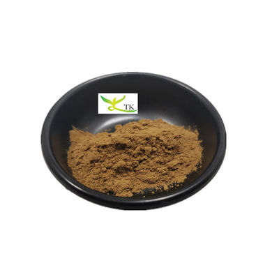 Fornitura di fabbrica Polvere naturale di estratto di foglie di damiana 99% Polvere di estratto di damiana