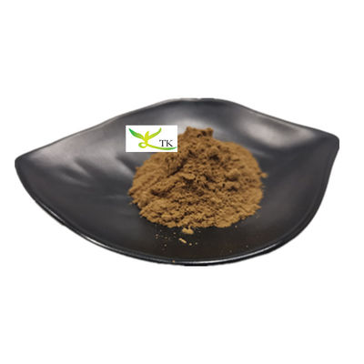 Estratto naturale di funghi polisaccaridi 20% di Chaga Funghi Estratto in polvere
