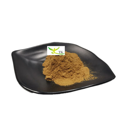 Ingrosso Estratto naturale di Yucca Schidigera in polvere Saponina 60% 80% Estratto di Yucca