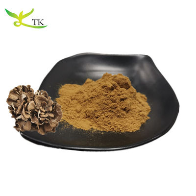 Ingrosso di integratori di funghi naturali al 100% Grifola Frondosa Extract Powder