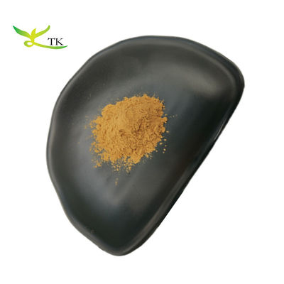 Estratto vegetale naturale di Schisandra Chinensis Estratto in polvere di Schisandra Berry Extract