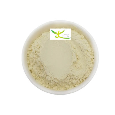 Estratto vegetale naturale Foglie di mango Estratto in polvere Mangiferina 95% CAS 4773-96-0
