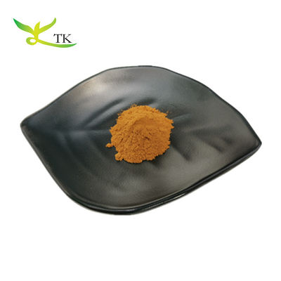 Estratto vegetale naturale Estratto di rosmarino in polvere Acido carnosico Acido ursolico Acido rosmarinico