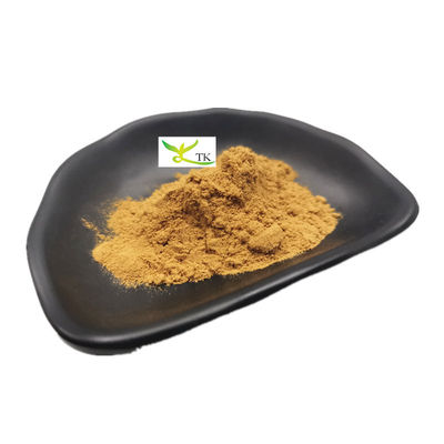 Estratto naturale di Astragalus Membranaceus Astragaloside IV Cicloastragenolo in polvere