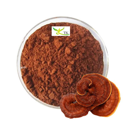 Prezzo all'ingrosso Ingrosso 100% Naturale Ganoderma Lucidum Reishi Funghi Spore in Polvere