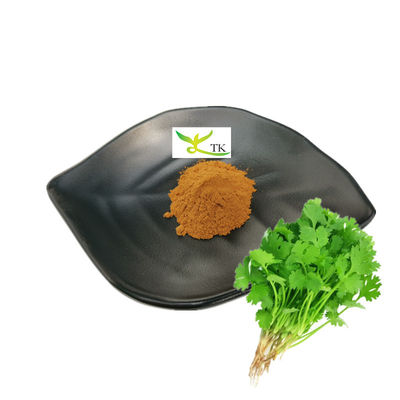 Prezzo all'ingrosso Estratto di coriandolo naturale Estratto di coriandolo sativum Estratto di cilantro Estratto in polvere