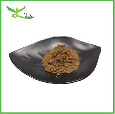 Supplemento Estratto di Cistanche Tubulosa in polvere 50% Echinacoside+10% Verbascoside
