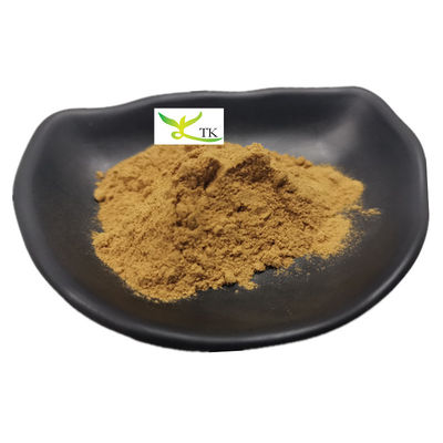 Prezzo all'ingrosso Offerta Naturale Nasturtium Officinale Cressone Estratto 10:1 Cressone in polvere
