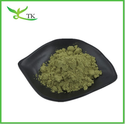 Moringa oleifera in polvere al forno