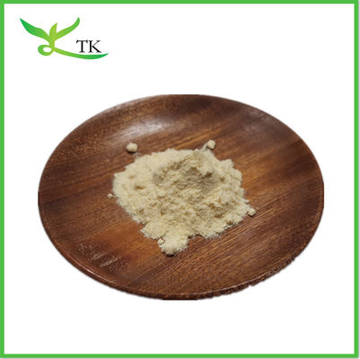 Beta-glucano in polvere Lievito Glucano Saccharomyces Cerevisiae Estratto in polvere