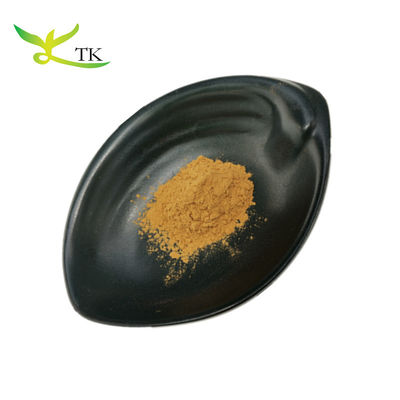 Supplemento a base di erbe Pure Natural Cuscuta Seed Powder 10:1 Dodder Seed Extract per Uomini