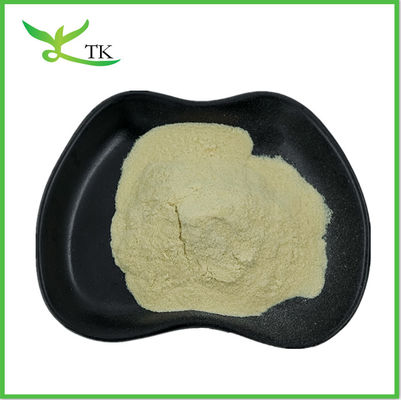 Fornitura di integratori per la salute Polvere di foglie di neem Polvere di tè di foglie di neem Polvere di neem