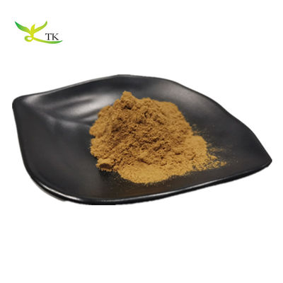 Prezzo all'ingrosso Estratto naturale di foglie di Ivy essiccato Ingredienti naturali 10:1 20:1 Estratto di foglie di Ivy in polvere