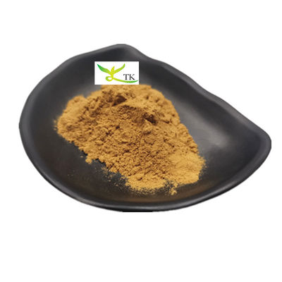 Supplemento di erbe naturali Panax Quinquefolius Estratto in polvere 10:1 20:1 Estratto di ginseng americano in polvere