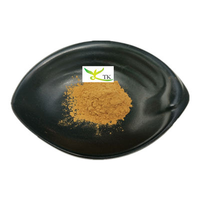 Prezzo all'ingrosso Naturale Portulaca Oleracea Purslane Erbe Estratto Polvere Purslane Estratto 10:1
