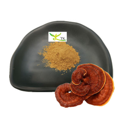 Al dettaglio Estratto di Ganoderma Lucidum Estratto di Reishi Funghi Polysaccharides in polvere 30%