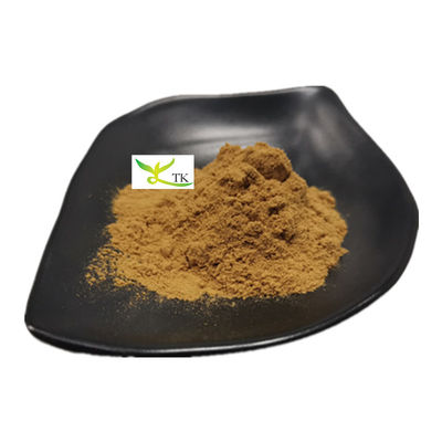 Estratto naturale di YU XING CAO Houttuynia Cordata in polvere