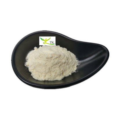Estratto vegetale naturale in polvere Estratto di corteccia di salice bianco in polvere Salicina 98% CAS 138-52-3