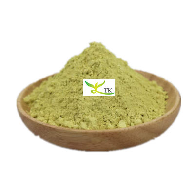Estratto vegetale naturale di migliore qualità Sophora Japonica Estratto Kaempferol 98% Kaempferol Prezzo all'ingrosso