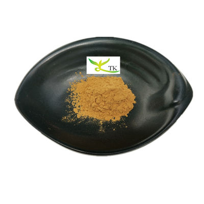 100% naturale cinese Red Date Fruit Powder Jujube Fruit Powder Food Grade