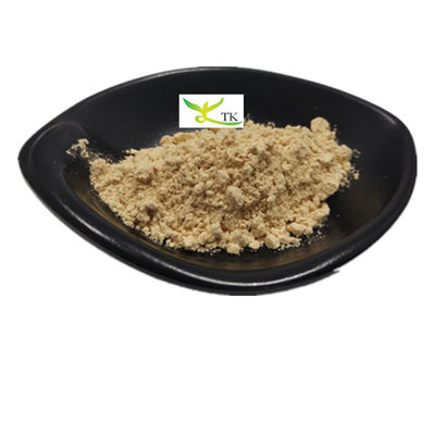 Estratto naturale di Tremella Fuciformis in polvere Estratto di funghi di Tremella bianco Polisaccaridi 30%