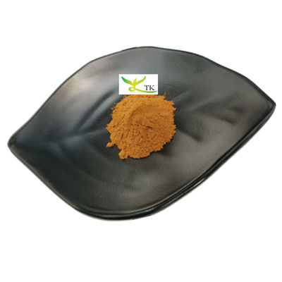 Prezzo all'ingrosso Estratto 100% naturale di Boletus edulis