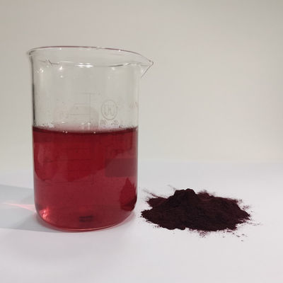 HACCP Fabbrica Miglior Prezzo all'Ingrosso Extracto di mirtilli naturale al 25% Polvere di antocianina Acqua solubile