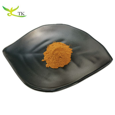 Supplemento naturale Estratto di semi di fieno greco Capsule Estratto di fieno greco in polvere Trigonellina