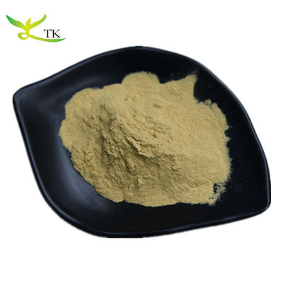 Estratto di radice 100% naturale Baikal Skullcap Scutellaria Baicalensis Estratto in polvere Baicalin