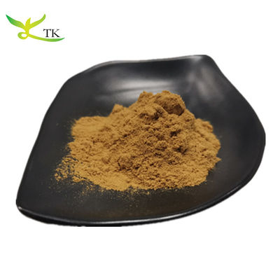 Estratto naturale di noce nera in polvere 10:1 20:1 Estratto di guscio di noce nera